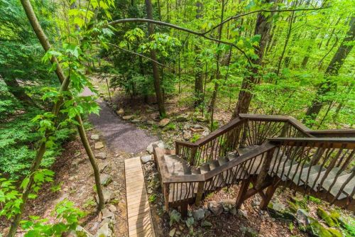 A wooden staircase leads down through a lush green forest, with a path visible in the background.