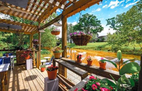 A wooden deck adorned with potted flowers overlooks a serene, tree-lined river under a bright blue sky.