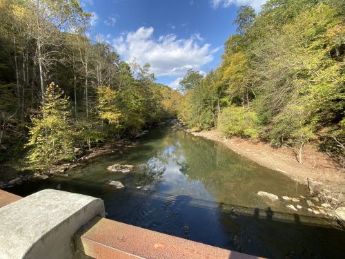 A serene river flows through a forested area, with trees reflecting in the water under a blue sky with clouds.