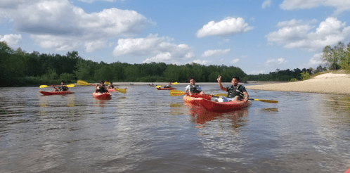 A group of people kayaking on a calm river surrounded by trees and blue skies with fluffy clouds.