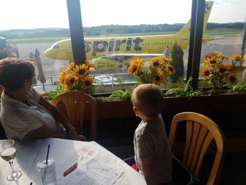 A child and an adult watch a yellow Spirit Airlines plane take off from a restaurant with sunflowers in the foreground.