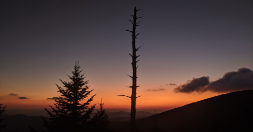 Silhouette of trees against a vibrant sunset sky with orange and purple hues over distant mountains.