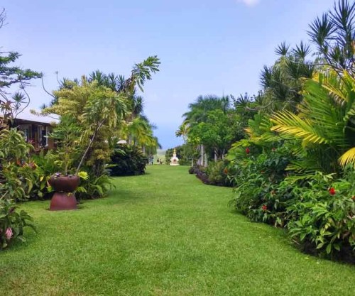 Lush green garden pathway lined with tropical plants and flowers, leading to a distant view of the ocean.