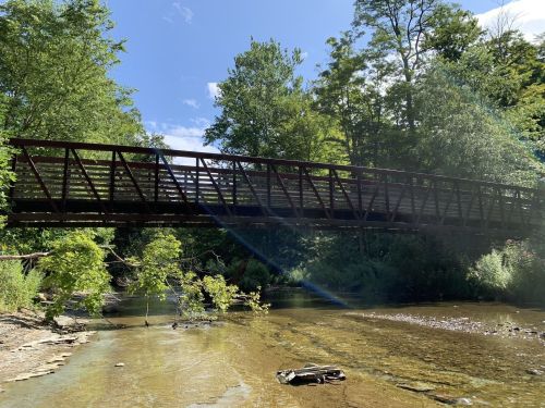 A wooden bridge spans a calm river, surrounded by lush green trees under a clear blue sky.