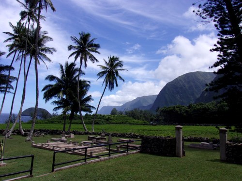 A serene landscape featuring palm trees, mountains, and a cemetery with stone markers under a blue sky.