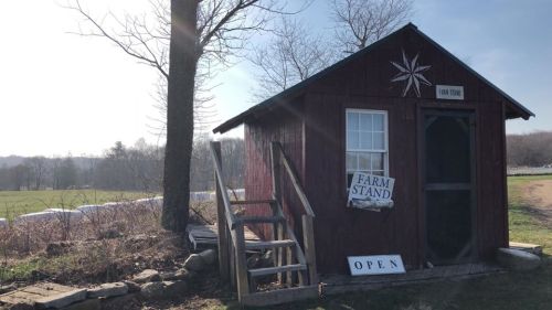 A small red farm stand with a sign reading "OPEN," surrounded by trees and fields under a sunny sky.