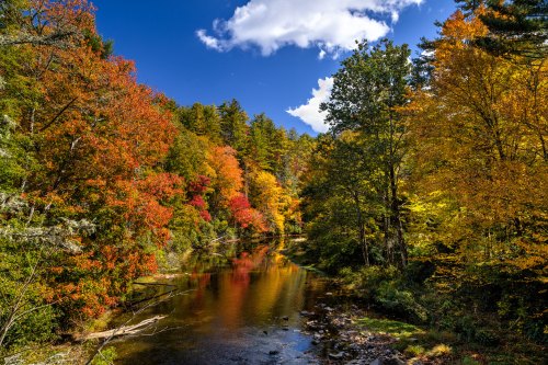 A serene river surrounded by vibrant autumn foliage and a clear blue sky with fluffy white clouds.