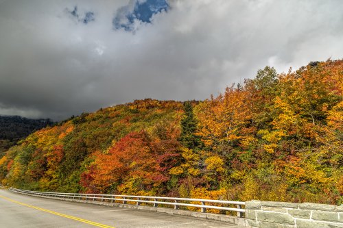 A scenic view of a road alongside a vibrant autumn forest with colorful leaves under a cloudy sky.