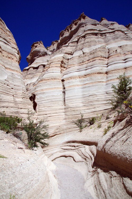 A narrow canyon with layered rock formations and sparse vegetation under a clear blue sky.