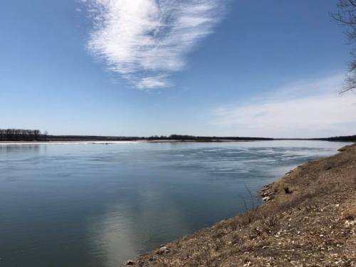 A calm river flows under a clear blue sky, with trees lining the shore and gentle clouds above.