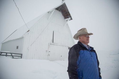 An elderly man in a cowboy hat stands in the snow near a white barn, with snowflakes falling around him.