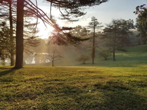 A serene landscape at sunrise, featuring misty trees and a calm pond in a lush green park.