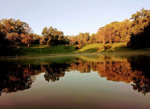 A serene lake reflecting trees and a clear sky, surrounded by lush green hills at sunset.