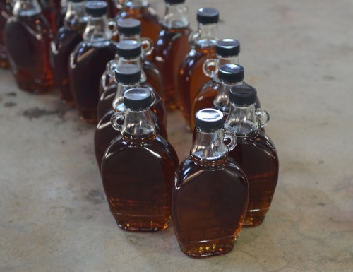 Bottles of amber-colored syrup arranged in a row on a concrete surface.