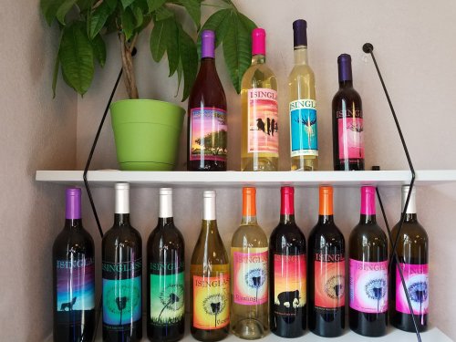 A display of colorful wine bottles on a shelf, featuring various labels and a green plant in a pot above.