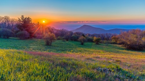 A vibrant sunset over rolling hills, with lush green grass and trees in the foreground, casting warm golden light.