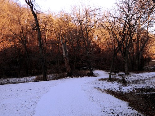 A snowy path winds through a wooded area with bare trees and a hillside in the background, illuminated by warm sunlight.