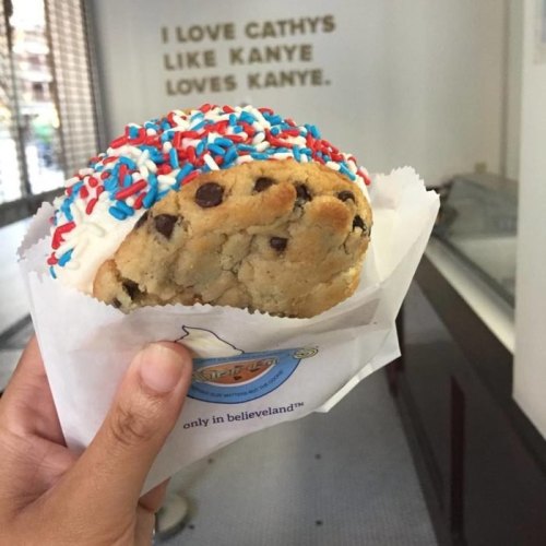 A hand holding a large cookie topped with white frosting and red, white, and blue sprinkles, with a humorous wall quote in the background.