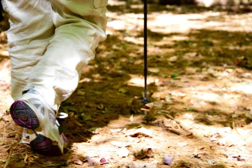 A person walks on a forest trail, wearing light pants and sneakers, with a walking stick in hand.