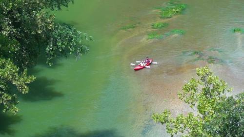 A person kayaking in a green river surrounded by trees and aquatic plants.