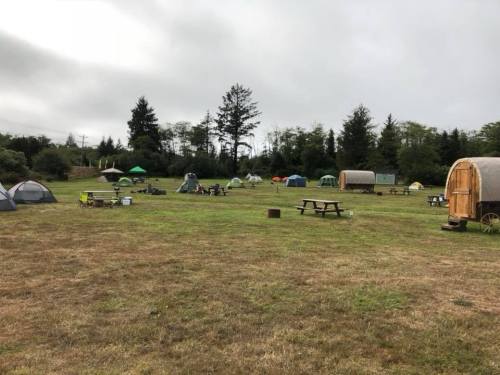 A grassy campsite with various tents and picnic tables, surrounded by trees under a cloudy sky.
