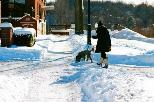 A person walks a dog on a snowy path, surrounded by snow-covered ground and buildings in the background.