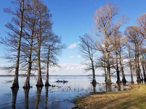 A serene lake scene with tall trees and a small boat on the water under a clear blue sky.