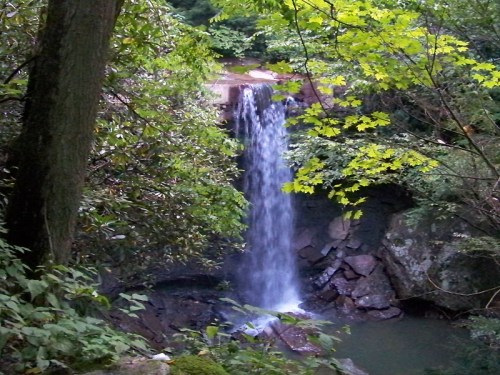 A serene waterfall cascading over rocks, surrounded by lush green foliage and trees.