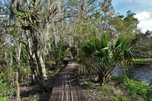 A wooden boardwalk winds through a lush, green landscape with trees and a pond under a clear blue sky.