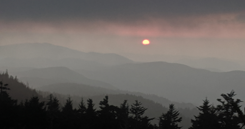 A hazy sunset over layered mountains, with silhouettes of trees in the foreground and a soft pink sky.