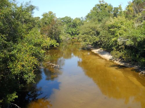A serene river flows through a lush green landscape, surrounded by trees under a clear blue sky.