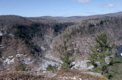 A panoramic view of a wooded valley with snow-covered ground and distant mountains under a clear blue sky.