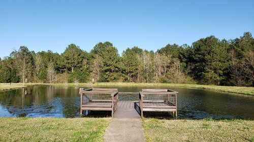 A serene pond with two wooden platforms, surrounded by lush greenery and a clear blue sky.