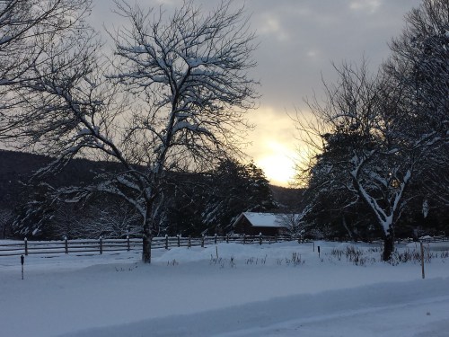 A snowy landscape at sunset, featuring bare trees, a wooden fence, and a small cabin in the distance.