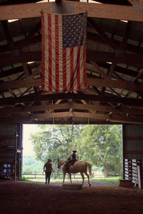 A person leads a horse inside a barn, with an American flag hanging above and a scenic view outside.