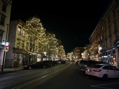 A charming street at night, lined with trees and buildings adorned with festive lights. Cars parked along the road.