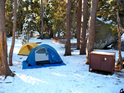 Two tents in a snowy forest clearing, surrounded by tall trees and a large boulder, with a storage box nearby.