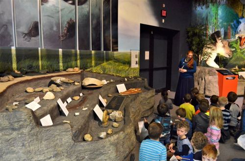 A museum guide presents to a group of children in front of a fossil exhibit featuring rocks and a turtle shell.