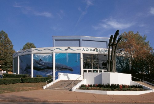 Exterior of an aquarium building with a large whale mural and a sculpture, surrounded by trees and a clear blue sky.