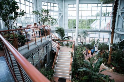 A spacious indoor garden with plants, stairs, and people enjoying the space in a bright, airy environment.
