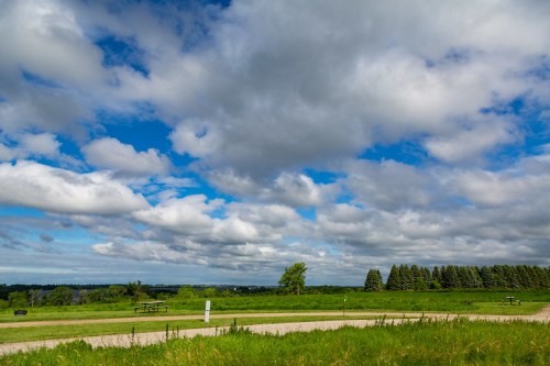 A scenic view of a grassy landscape under a blue sky filled with fluffy clouds, with trees in the background.