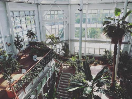 Bright indoor garden with lush plants, seating areas, and large windows allowing natural light.