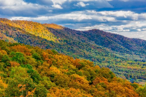 Vibrant autumn foliage covers rolling hills under a cloudy sky, showcasing a mix of green, orange, and yellow leaves.