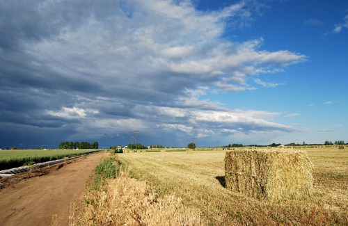 A rural landscape with a hay bale, dirt road, and dramatic clouds in the sky, surrounded by fields and trees.