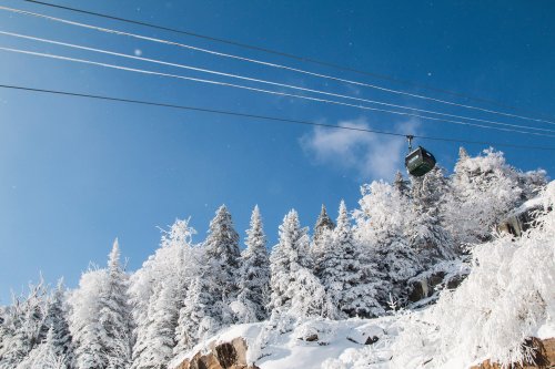 A ski gondola glides over snow-covered trees against a clear blue sky.