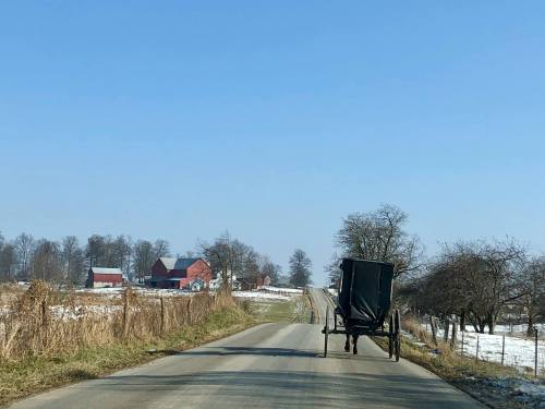 A black horse-drawn buggy on a rural road, with red barns and snow-covered fields in the background under a clear blue sky.