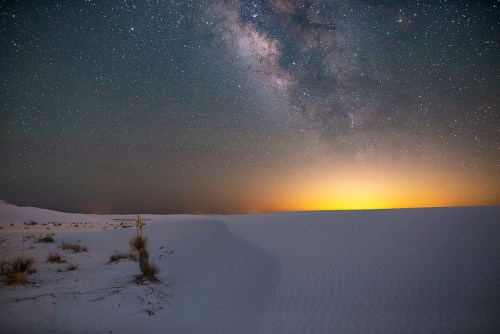 A starry night sky over a white sand desert, with a glowing horizon and scattered vegetation.