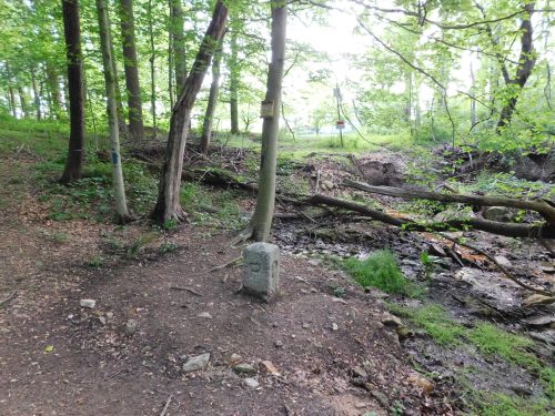 A wooded area with trees, a rocky path, and a small stream, featuring a stone marker in the foreground.
