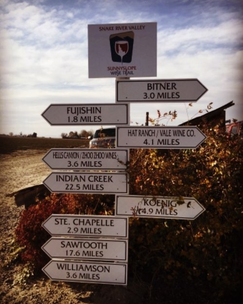 Signpost with directional arrows indicating distances to various locations in Snake River Valley, including wineries and trails.