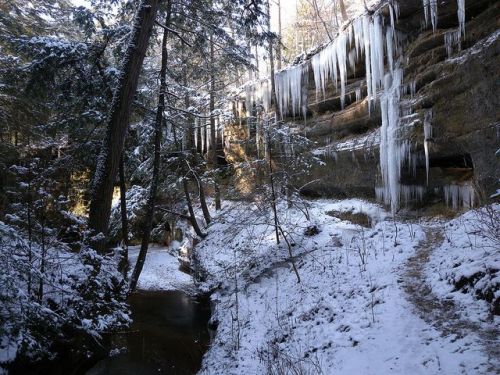 A snowy forest scene with icicles hanging from rocky cliffs and a small stream flowing through the landscape.